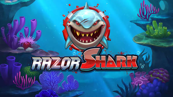 Razor Shark (Push PC Gaming): Überblick